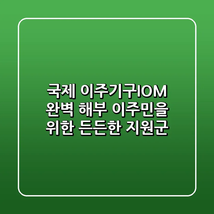 국제 이주기구IOM 완벽 해부 이주민을 위한 든든한 지원군