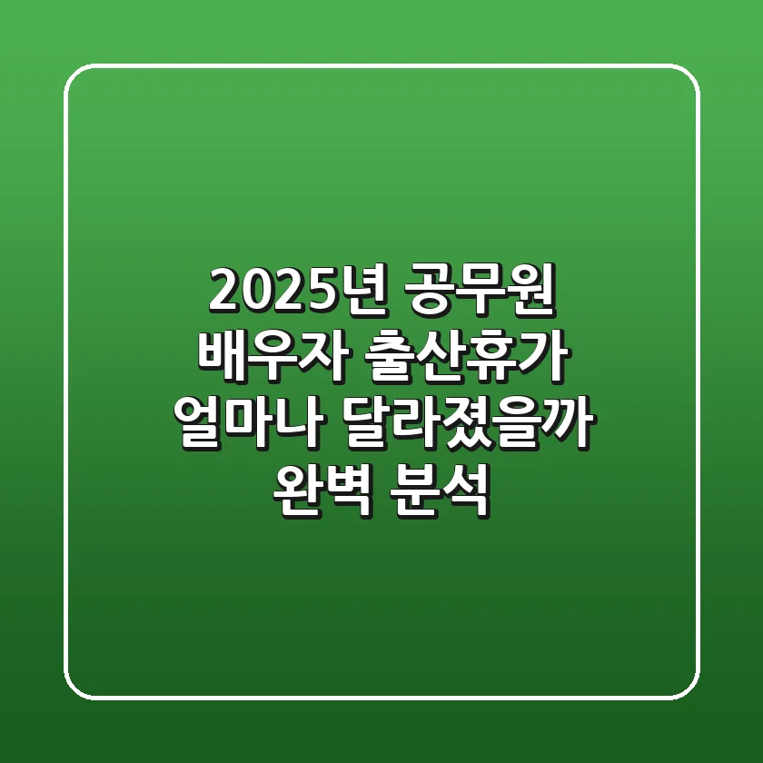 2025년 공무원 배우자 출산휴가 얼마나 달라졌을까 완벽 분석