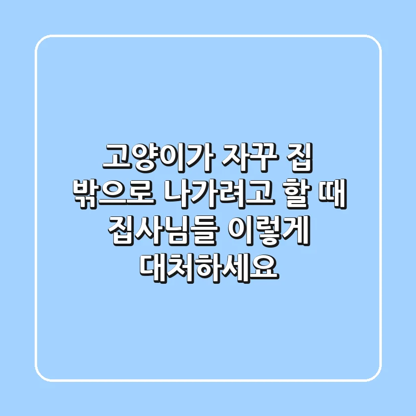 고양이가 자꾸 집 밖으로 나가려고 할 때 집사님들 이렇게 대처하세요