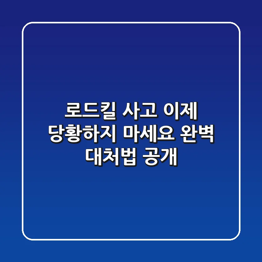 로드킬 사고, 이제 당황하지 마세요! 완벽 대처법 공개