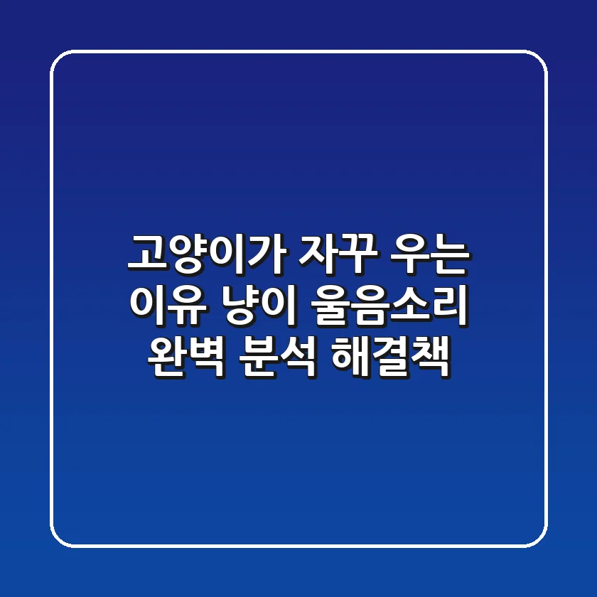 고양이가 자꾸 우는 이유? 냥이 울음소리 완벽 분석 & 해결책!