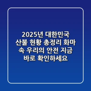 2025년 대한민국 산불 현황 총정리: 화마 속 우리의 안전, 지금 바로 확인하세요!