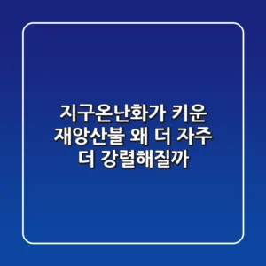 지구온난화가 키운 재앙,산불! 왜 더 자주, 더 강렬해질까?