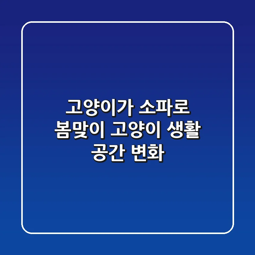고양이가 소파로! 봄맞이 고양이 생활 공간 변화
