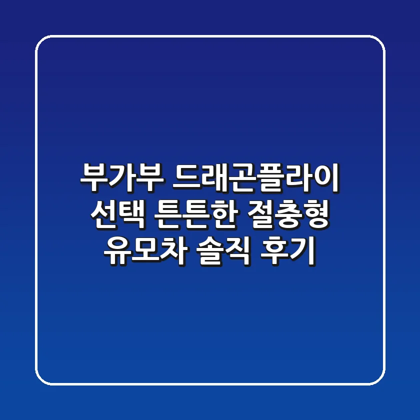 부가부 드래곤플라이 선택! 튼튼한 절충형 유모차 솔직 후기