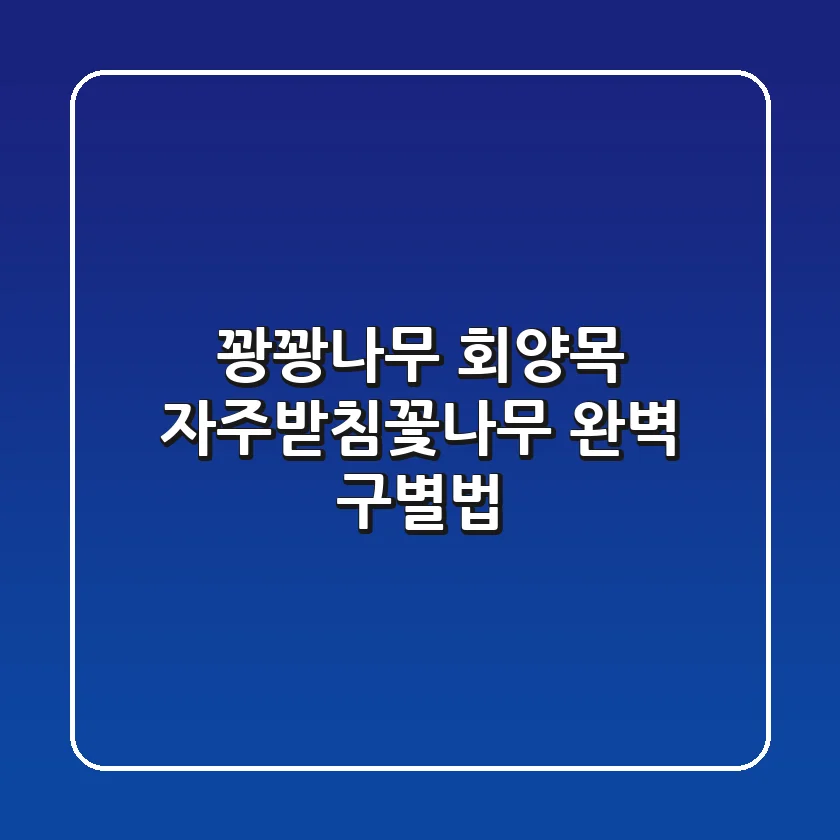 꽝꽝나무, 회양목, 자주받침꽃나무 완벽 구별법