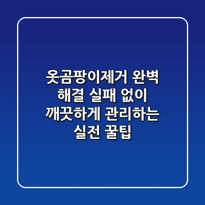 옷곰팡이제거, 완벽 해결! 실패 없이 깨끗하게 관리하는 실전 꿀팁
