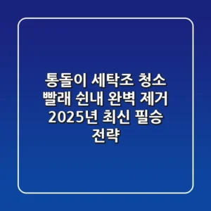 통돌이 세탁조 청소, 빨래 쉰내 완벽 제거! 2025년 최신 필승 전략