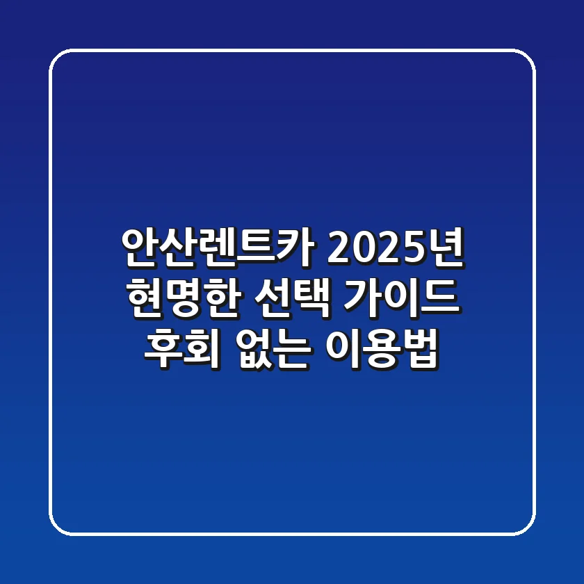 안산렌트카, 2025년 현명한 선택 가이드: 후회 없는 이용법