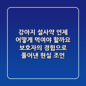강아지 설사약, 언제 어떻게 먹여야 할까요? 보호자의 경험으로 풀어낸 현실 조언!