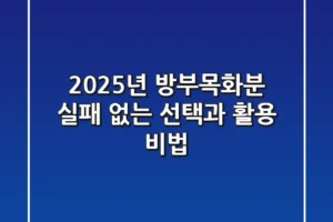 2025년 방부목화분: 실패 없는 선택과 활용 비법