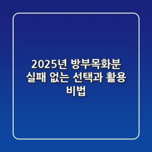 2025년 방부목화분: 실패 없는 선택과 활용 비법