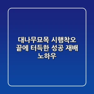 대나무묘목, 시행착오 끝에 터득한 성공 재배 노하우