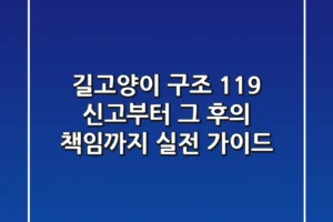 길고양이 구조, 119 신고부터 그 후의 책임까지: 실전 가이드