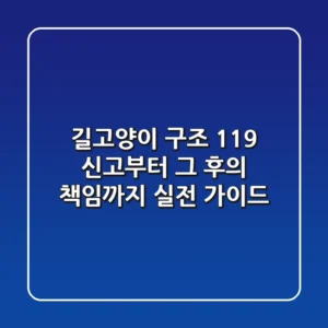 길고양이 구조, 119 신고부터 그 후의 책임까지: 실전 가이드