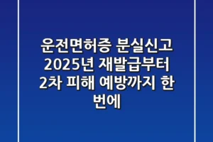 운전면허증 분실신고, 2025년 재발급부터 2차 피해 예방까지 한 번에!