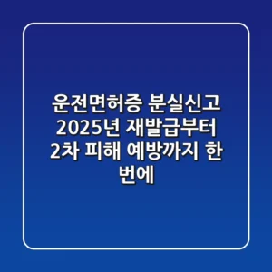 운전면허증 분실신고, 2025년 재발급부터 2차 피해 예방까지 한 번에!