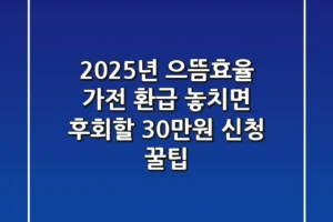 2025년 으뜸효율 가전 환급, 놓치면 후회할 30만원 신청 꿀팁!