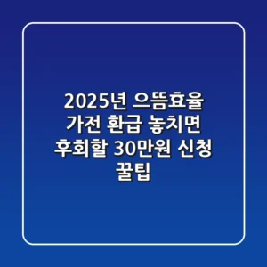 2025년 으뜸효율 가전 환급, 놓치면 후회할 30만원 신청 꿀팁!
