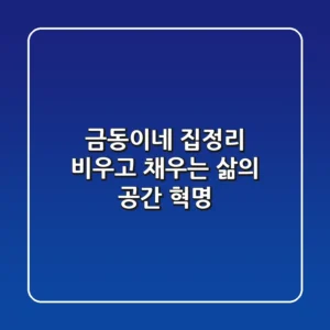 금동이네 집정리: 비우고 채우는 삶의 공간 혁명