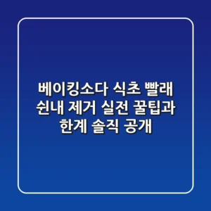 베이킹소다 식초 빨래 쉰내 제거? 실전 꿀팁과 한계 솔직 공개