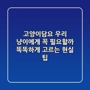 고양이담요, 우리 냥이에게 꼭 필요할까? 똑똑하게 고르는 현실 팁!