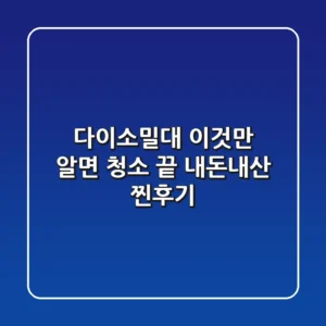 다이소밀대, 이것만 알면 청소 끝! (내돈내산 찐후기)