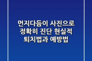 먼지다듬이 사진으로 정확히 진단! 현실적 퇴치법과 예방법