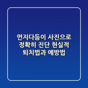 먼지다듬이 사진으로 정확히 진단! 현실적 퇴치법과 예방법