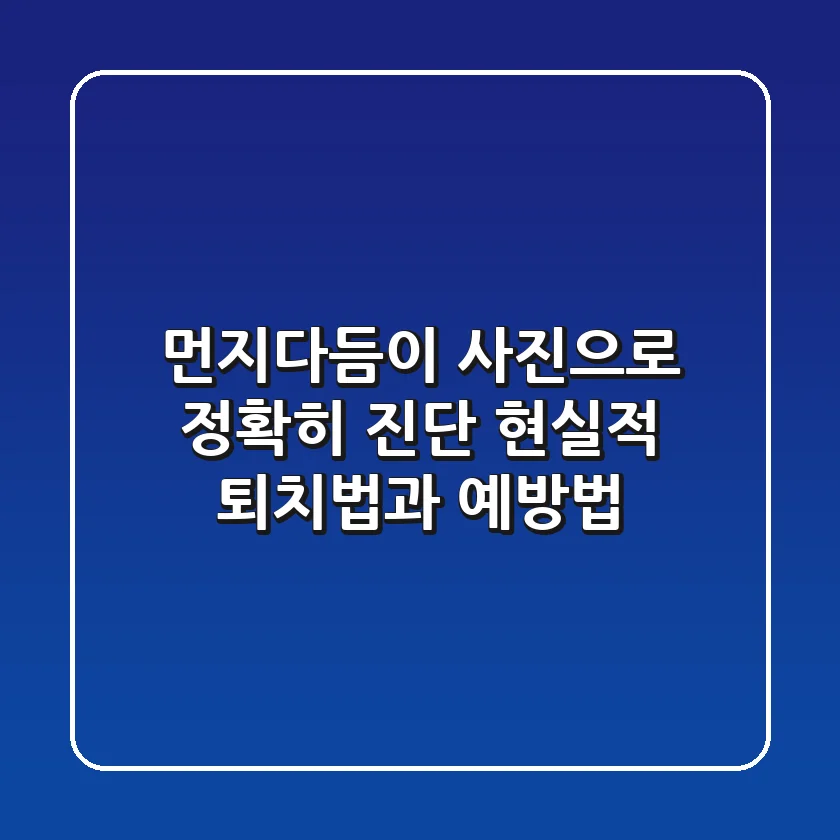 먼지다듬이 사진으로 정확히 진단! 현실적 퇴치법과 예방법