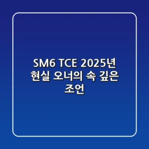SM6 TCE, 2025년 현실 오너의 속 깊은 조언