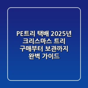 PE트리 택배, 2025년 크리스마스 트리 구매부터 보관까지 완벽 가이드