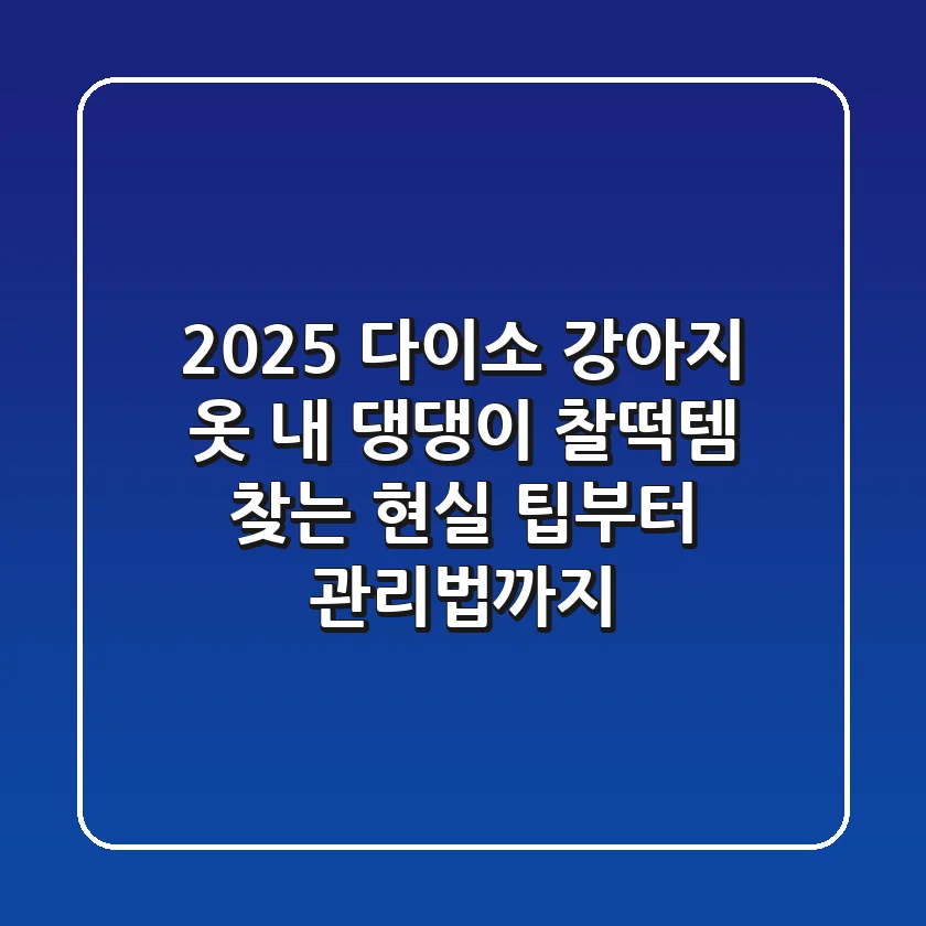 2025 다이소 강아지 옷, 내 댕댕이 찰떡템 찾는 현실 팁부터 관리법까지