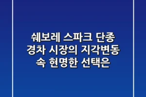 쉐보레 스파크 단종, 경차 시장의 지각변동 속 현명한 선택은?