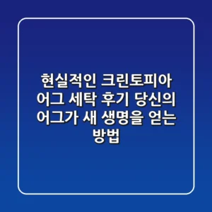현실적인 크린토피아 어그 세탁 후기: 당신의 어그가 새 생명을 얻는 방법