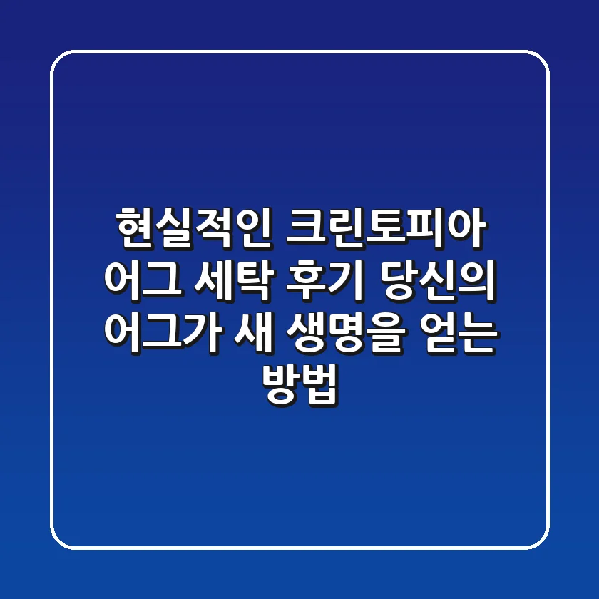 현실적인 크린토피아 어그 세탁 후기: 당신의 어그가 새 생명을 얻는 방법