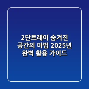 2단트레이: 숨겨진 공간의 마법, 2025년 완벽 활용 가이드