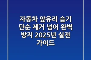 자동차 앞유리 습기: 단순 제거 넘어, 완벽 방지 2025년 실전 가이드