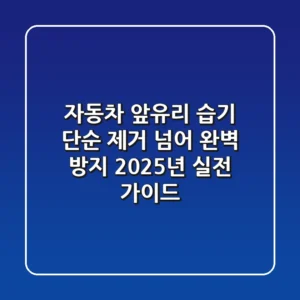 자동차 앞유리 습기: 단순 제거 넘어, 완벽 방지 2025년 실전 가이드