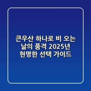 큰우산 하나로 비 오는 날의 품격, 2025년 현명한 선택 가이드
