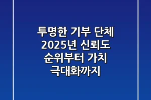 투명한 기부 단체, 2025년 신뢰도 순위부터 가치 극대화까지