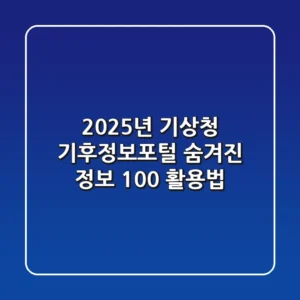 2025년 기상청 기후정보포털, 숨겨진 정보 100% 활용법
