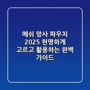 메쉬 망사 파우치 2025, 현명하게 고르고 활용하는 완벽 가이드