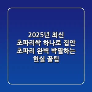2025년 최신! 초파리싹 하나로 집안 초파리 완벽 박멸하는 현실 꿀팁