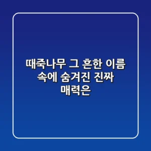 때죽나무, 그 흔한 이름 속에 숨겨진 진짜 매력은?