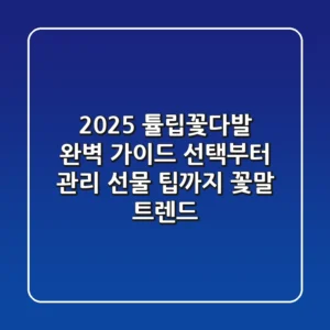 2025 튤립꽃다발 완벽 가이드: 선택부터 관리, 선물 팁까지 (꽃말 & 트렌드)